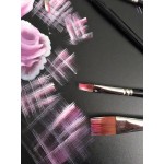 The Face Painting Shop 1-2 Inch Rake Brush